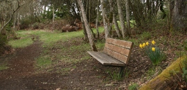 Bench